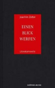 Joachim Zelter: Einen Blick werfen
